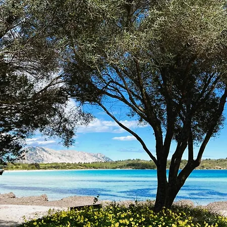 Apartment Capo Coda Cavallo, Vacanze Nella Casa Il Maestrale *
