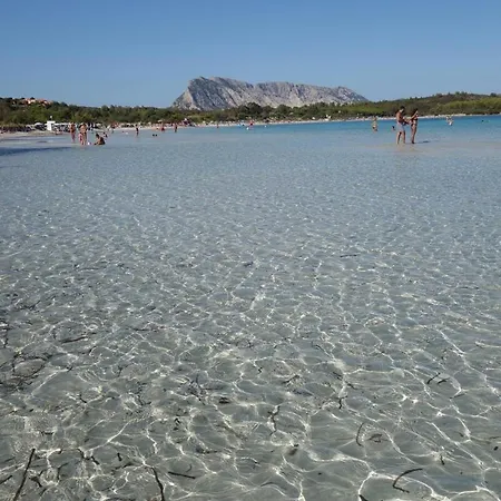 Capo Coda Cavallo, Vacanze Nella Casa Il Maestrale